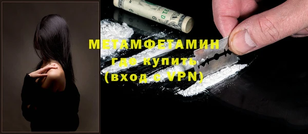 прущие грибы Армянск