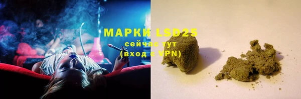 ПСИЛОЦИБИНОВЫЕ ГРИБЫ Алзамай