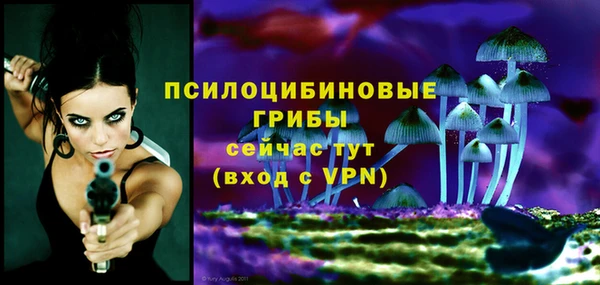 прущие грибы Армянск
