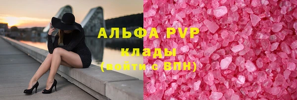 прущие грибы Армянск