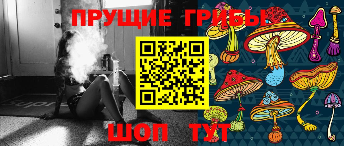 Псилоцибиновые грибы Cubensis Борзя