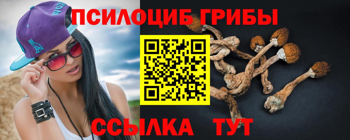 Борзя  Псилоцибиновые грибы Magic Shrooms  Вход с VPN  Галлюциногенные грибы Psilocybe 