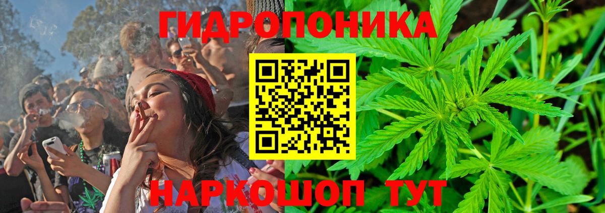 Бошки марихуана конопля  Вход с VPN  Борзя  МАРИХУАНА AK-47  Шишки марихуана семена 